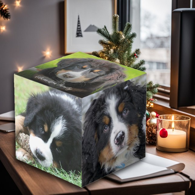 Create your own family pet photo collage monogram cube (Create your own family, pet photo collage monogram cube.
)