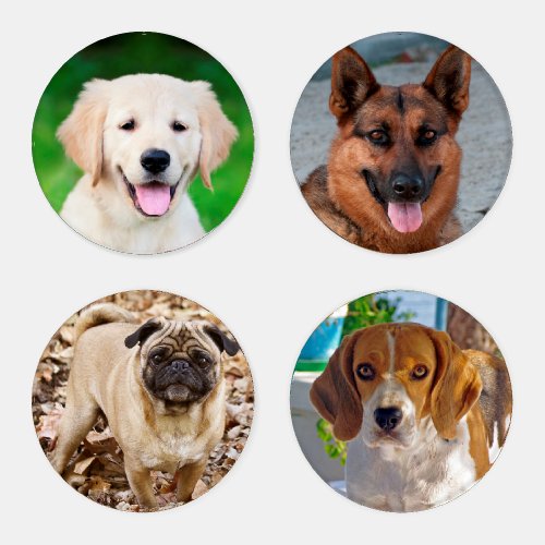 Create your own family pet photos coaster set
