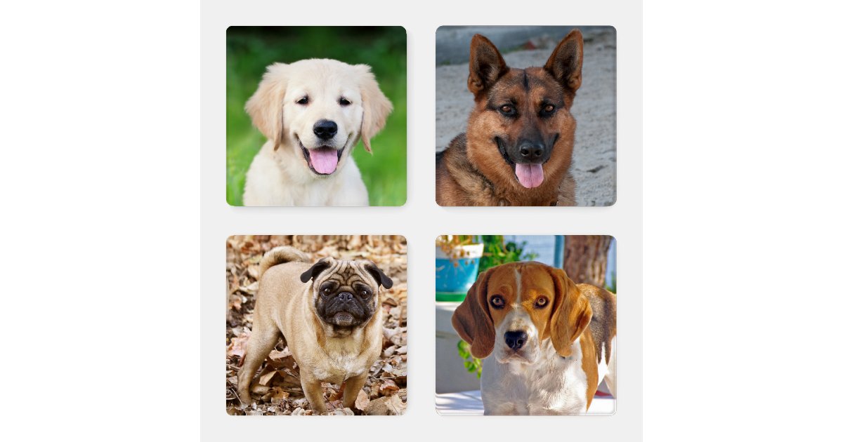 Create your own family pet photos coaster set | Zazzle