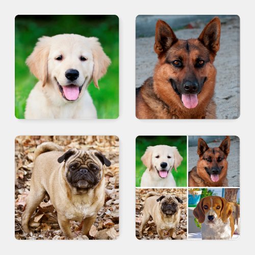 Create your own family Pet photos Coaster Set