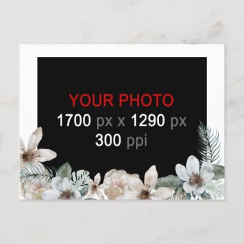 Create Your Own Floral Custom Photo  Postcard by templatesstore at Zazzle