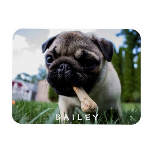 Create Your Own Funny Photo Custom Magnet