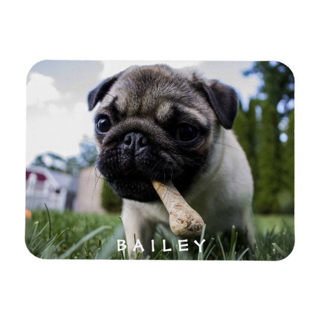 Create Your Own Funny Photo Custom Magnet (Horizontal)