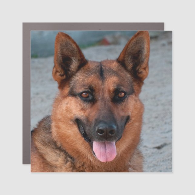Create Your Own German Shepherd Dog Photo Car Magnet (Front)