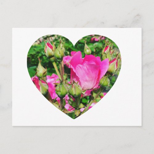 Create Your Own Heart Shape Photo Postcard