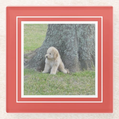 Create Your Own Keepsake Photo Modern Template Red Glass Coaster