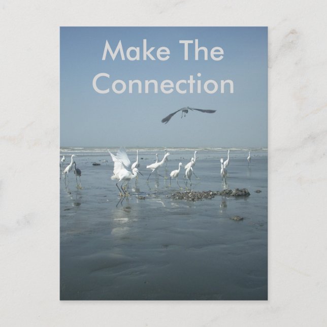 Create Your Own Make The Connection Postcard (Front)