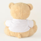 Create Your Own Medium Sherman Teddy Bear