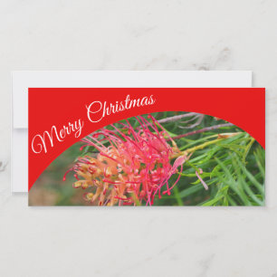 Create your own Merry Christmas photo card