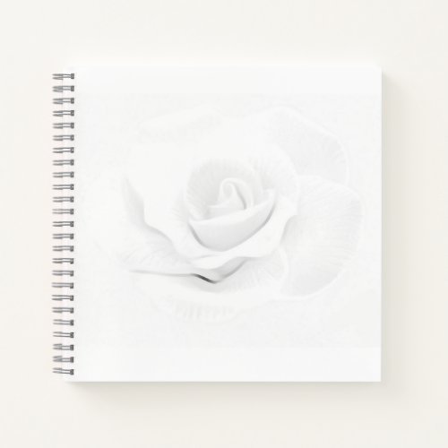 Create Your Own _  Notebook