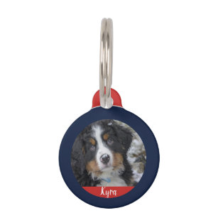 Create your own og photo name contact information pet name tag