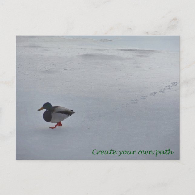 Create Your Own Path Postcard (Front)