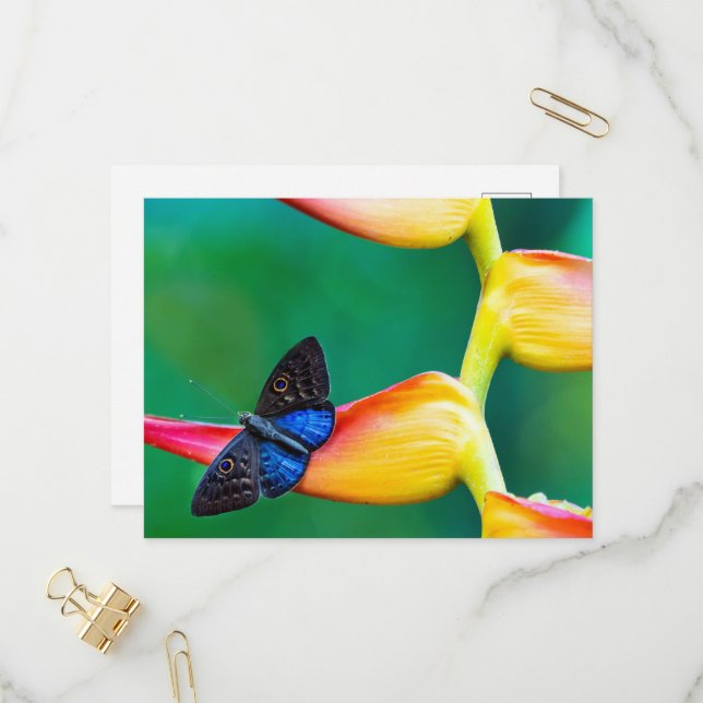Create Your Own Personalized Custom Photo Template (Front/Back In Situ)