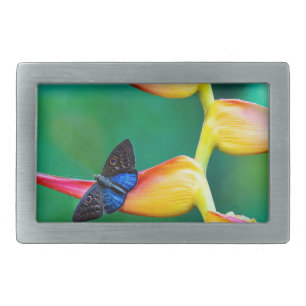 Create Your Own Personalized Custom Photo Template Belt Buckle