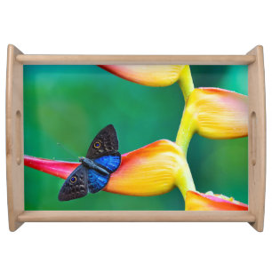 Create Your Own Personalized Custom Photo Template Serving Tray