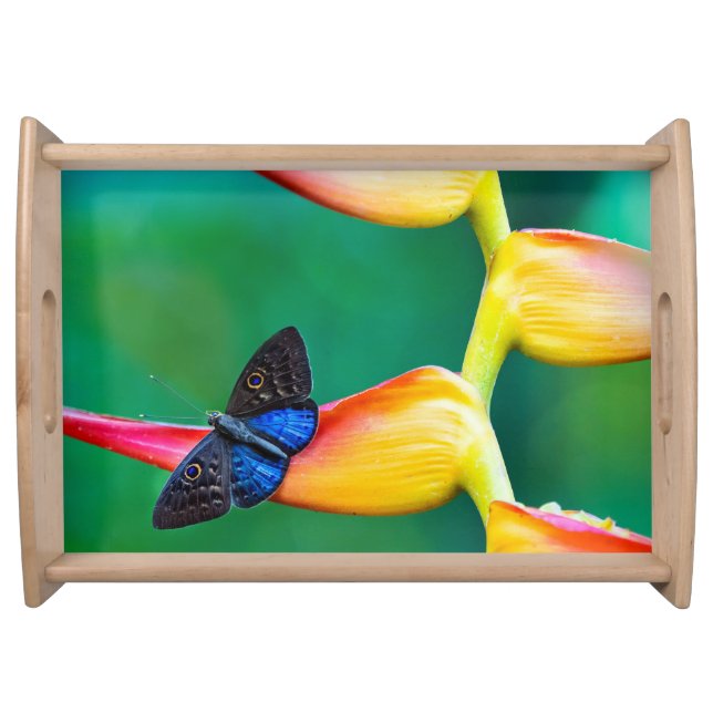 Create Your Own Personalized Custom Photo Template Serving Tray (Front)