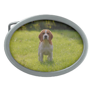 Create Your Own Personalized Pet Photo Belt Buckle