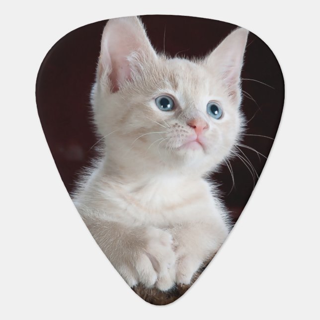 Create Your Own Personalized Pet Photo Guitar Pick (Front)