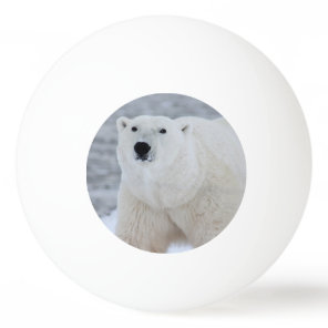 Create Your Own Personalized Photo Ping Pong Ball