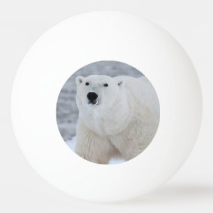Create Your Own Personalized Photo Ping Pong Ball