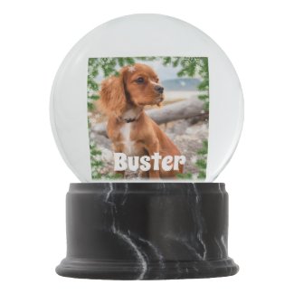 Create Your Own Personalized Photo Snow & Pine Snow Globe