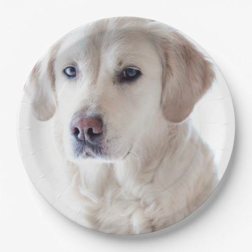 Create Your Own Personalized Puppy Dog Photo Paper Plates