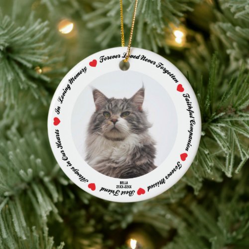 Create Your Own Pet Cat Memorial  Ceramic Ornament