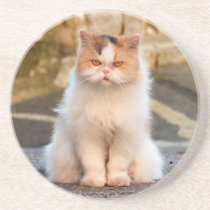 Create Your Own Pet Cat Personalized Photo  Coaster