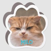 Create Your Own Pet Cat Photo Car Magnet