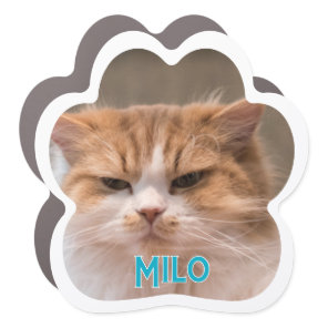 Create Your Own Pet Cat Photo Car Magnet