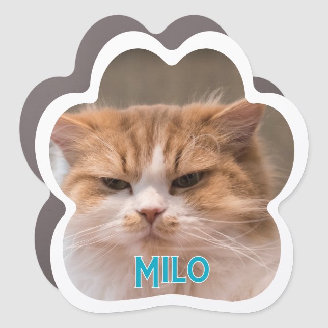 Create Your Own Pet Cat Photo Car Magnet (Front)