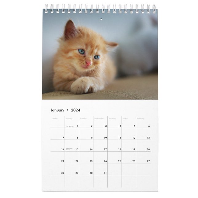 2024 Cats Wall Calendar Cats Watercolour Large One Page a Month