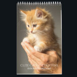 Create Your Own Pet Cat Photos 2026 Small Calendar<br><div class="desc">For further customization,  please click the "Customize" button and use our design tool to modify this template. If the options are available,  you may change text and image by simply clicking on "Edit/Remove Text or Image Here" and add your own. Thank you.</div>