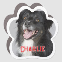 Create Your Own Pet Dog Photo