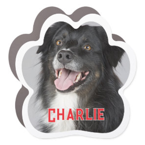 Create Your Own Pet Dog Photo Car Magnet