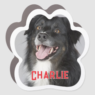 Create Your Own Pet Dog Photo Car Magnet