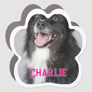 Create Your Own Pet Dog Photo Car Magnet