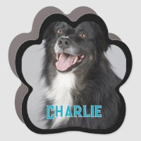 Create Your Own Pet Dog Photo