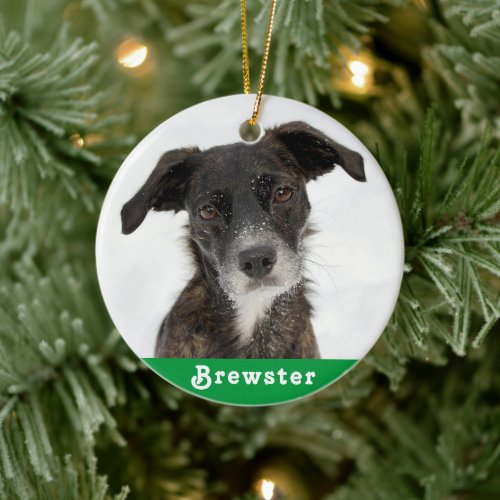 Create Your Own Pet Dog Photo Christmas Ornament