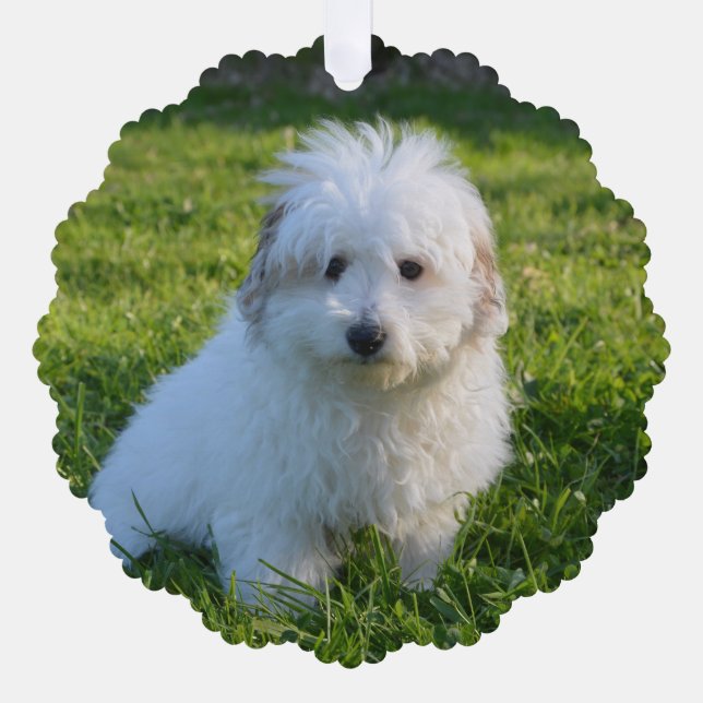 Create Your Own Pet dog Photo Ornament Card (Front)