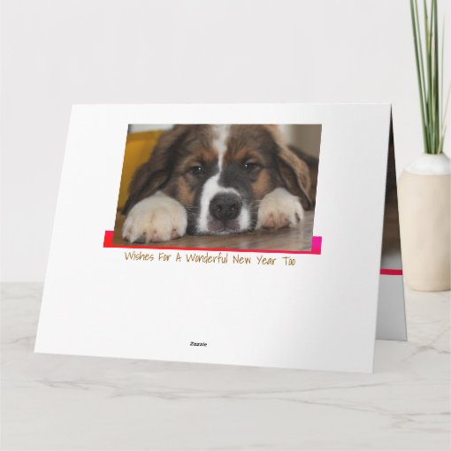Create Your Own Pet Greeting Card Zazzle