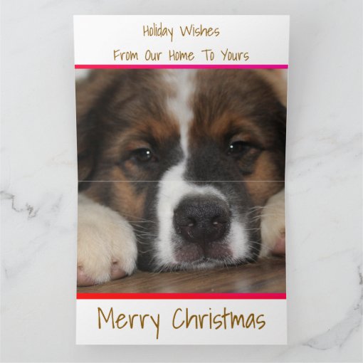 Create Your Own Pet Greeting Card Zazzle