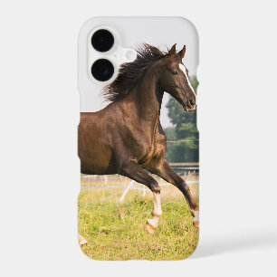 Create Your Own Pet Horse Photo Custom Picture iPhone 17 Case