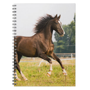 Create Your Own Pet Horse Photo Custom Picture Notebook