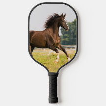 Create Your Own Pet Horse Photo Custom Picture