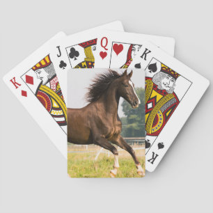 Create Your Own Pet Horse Photo Custom Picture Poker Cards