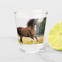 Create Your Own Pet Horse Photo Custom Picture