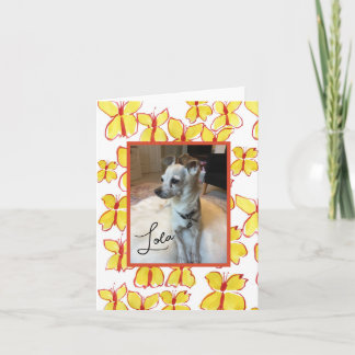 Create Your Own Pet Lovers Framed Photo Note Card