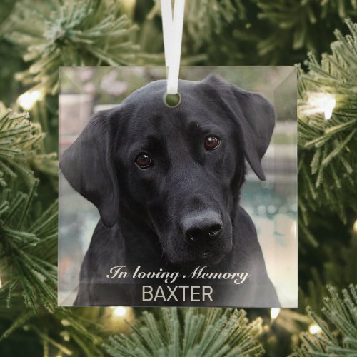 Create Your Own Pet Memorial Photo  Glass Ornament