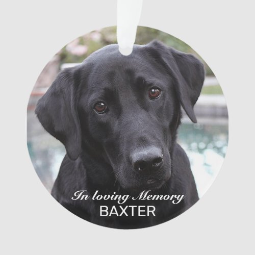 Create Your Own Pet Memorial Photo  Ornament